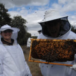 apicultor por un dia