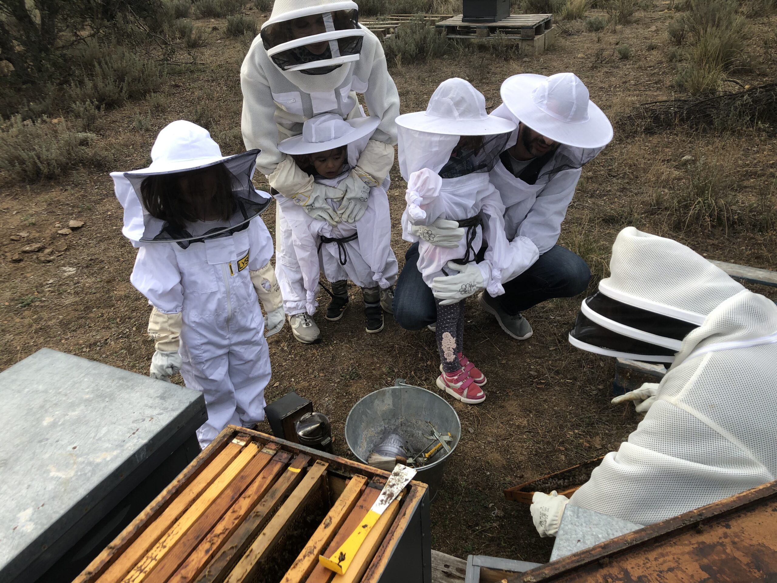 aprende con las abejas